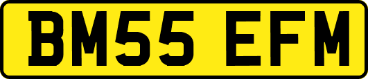 BM55EFM