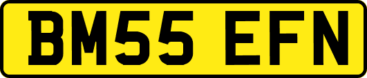 BM55EFN