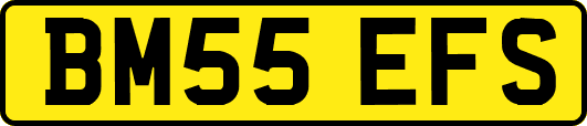 BM55EFS