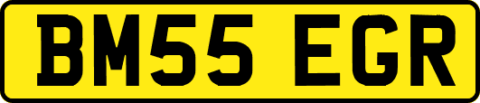 BM55EGR
