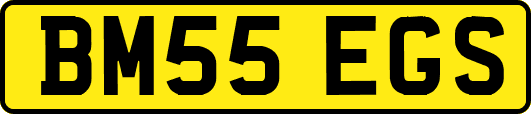 BM55EGS