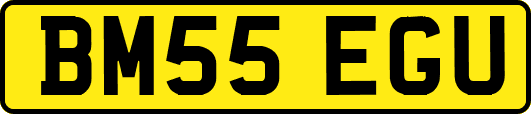 BM55EGU