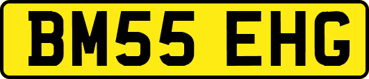 BM55EHG