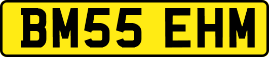 BM55EHM