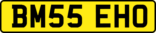 BM55EHO