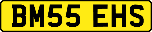 BM55EHS