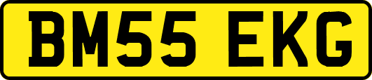 BM55EKG