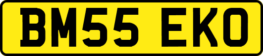 BM55EKO