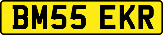BM55EKR