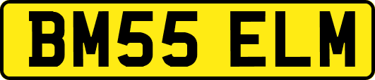 BM55ELM
