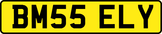 BM55ELY