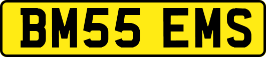 BM55EMS