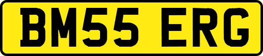 BM55ERG