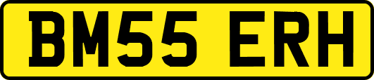 BM55ERH