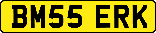 BM55ERK