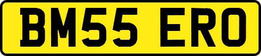 BM55ERO