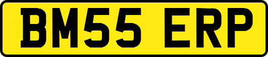 BM55ERP