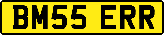 BM55ERR