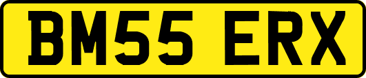BM55ERX