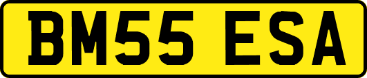 BM55ESA