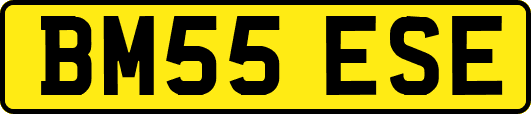 BM55ESE