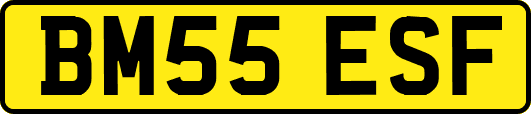 BM55ESF