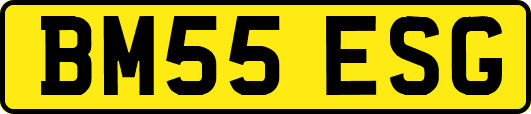 BM55ESG
