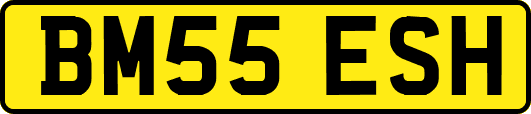 BM55ESH