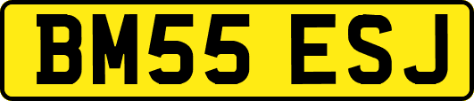 BM55ESJ