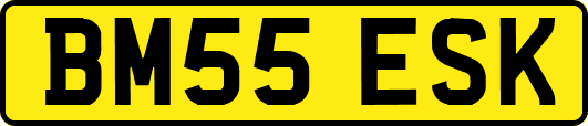BM55ESK