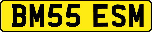 BM55ESM