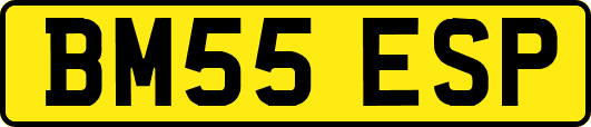 BM55ESP