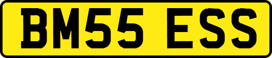 BM55ESS