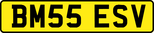 BM55ESV