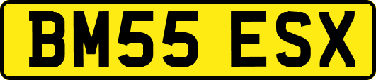BM55ESX