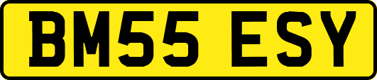 BM55ESY