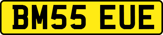BM55EUE