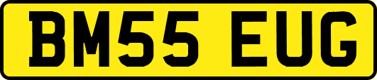 BM55EUG