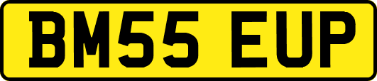 BM55EUP