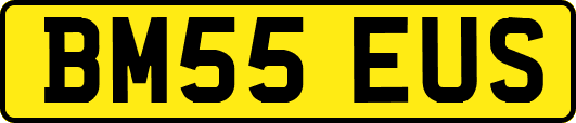 BM55EUS