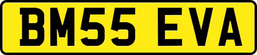 BM55EVA