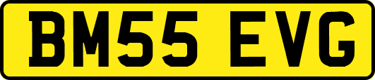 BM55EVG