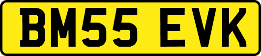 BM55EVK
