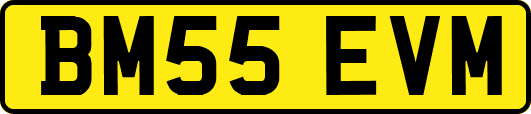 BM55EVM