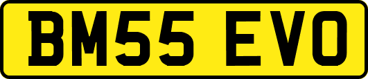 BM55EVO