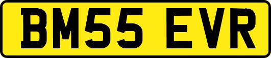 BM55EVR