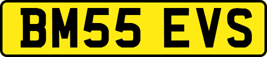 BM55EVS