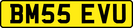 BM55EVU