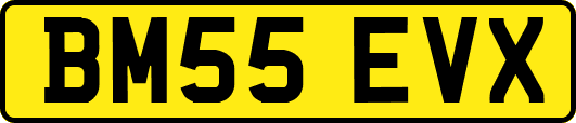 BM55EVX