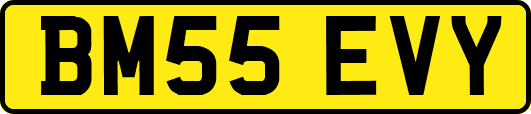 BM55EVY